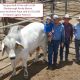 Buyers’ Market at Gold City Sale Today