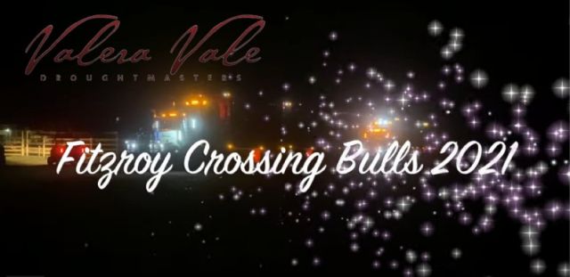 2021 FITZROY CROSSING BULL SALE