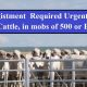 Go to Agistment Required Urgently