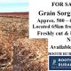 Go to FOR SALE GRAIN SORGHUM  HAY