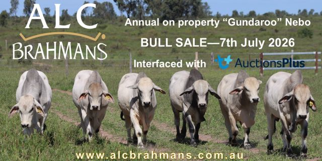 ALC BRAHMANS SALE 2026