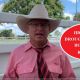 Highlands Droughtmaster Bull Sale, Clermont