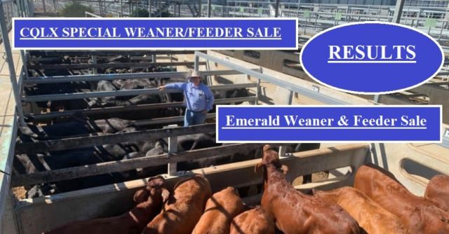 CQLX AND EMERALD WEANER/FEEDER RESULTS
