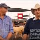 Go to PADDOCK TO PALATE RESULTS