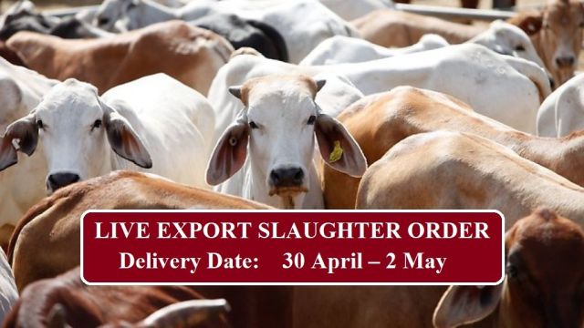 LIVE EXPORT SLAUGHTER ORDER