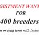 Go to Wanted Agistment