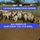 108 VGQ BRAHMAN CROSS HEIFERS