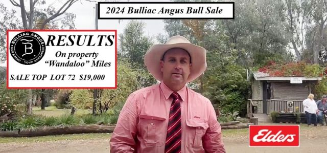 2024 Bulliac Angus Sale