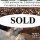 FOR SALE 1,000 STEERS