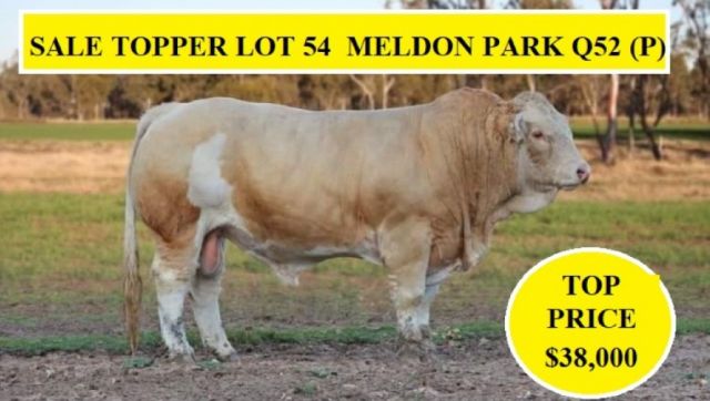 AG-GROW  Bull Sale RESULTS