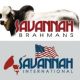 Go to Savannah Brahmans