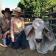 Go to ALL BREEDS AUSTRALIAN  RECORD $325,000 (BRAHMAN)