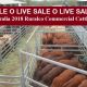 Go to SALE O  LIVE   SALE O   LIVE