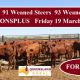 Go to For Sale 91 Weaned Steers and 93 Weaned Heifers