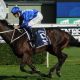 Winx world’s equal best racehorse of 2018