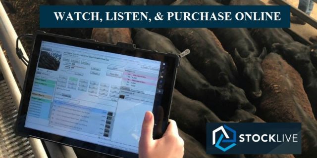 "Solution to allowing buyers to view and bid online"