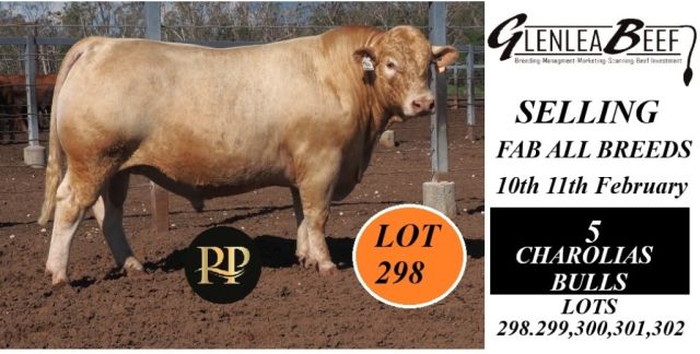 Glenlea Beef Selling FAB Sale