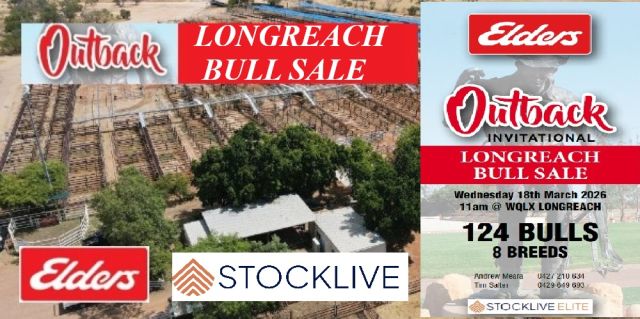 LONGREACH BULL SALE 2026