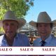 Go to DAY ONE NATIONAL DROUGHTMASTER SALE