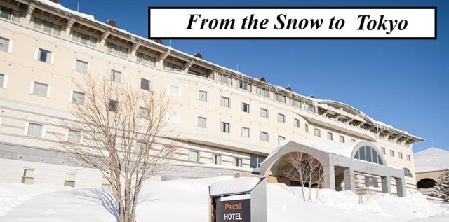 THE GREAT CHRISTMAS HOLIDAY BREAK.