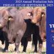 Go to Yulgilbar 2023 Annual Production Sale