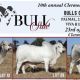 10th annual Clermont Beef Bull Sale.