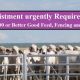 Agistment urgently Required