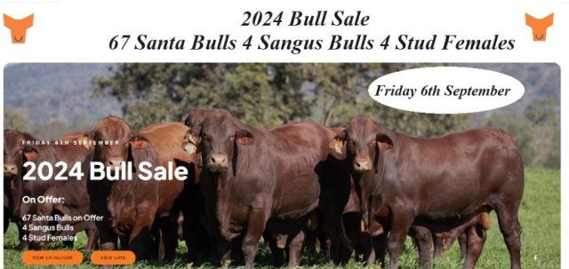 Yulgilbar 2024 Annual Production Sale.