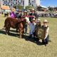 EKKA GRAND CHAMPION LED STEER