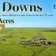 Isla Downs Longreach