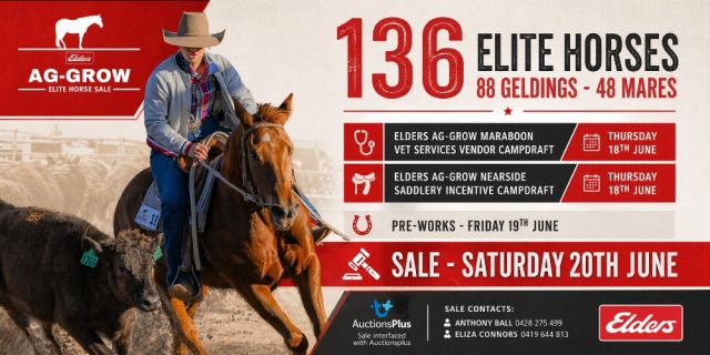 AG-GROW ELITE HORSE SALE 2026