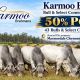Go to KARMOO BRAHMANS ON PROPERTY SALE