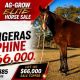AG-GROW ELITE HORSE SALE 2026