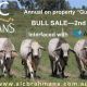 Go to ALC BRAHMANS SALE 2025
