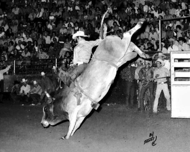 John Quintana Inducted into the Bull Riding Hall of Fame