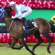 Dawson Diva Sensational Win