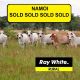 Namoi' (SOLD AT AUCTION)