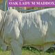 BULLOAK BRAHMAN STUD All Stars Sale 7th April