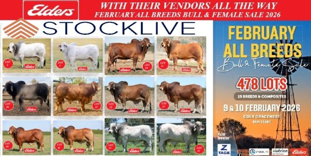 FEBRUARY ALL BREEDS BULL & FEMALE SALE 2026