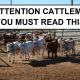 WHAT CATTLE PRODUCERS NEED TO KNOW