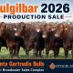 Yulgilbar Station 2026 Production Sale