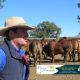 Bizzy Jomanda Bull and Female Sale