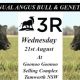 3R Annual Angus Bull & Genetic Sale 2024