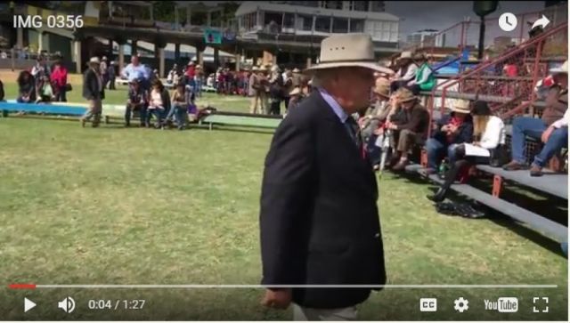 Ekka 2016 Brahman Results