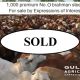FOR SALE 1,000 STEERS...