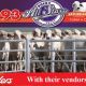 Go to Elders Rocky All Stars Female Sale 2023
