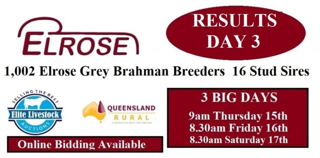 Elrose SALE Day DAY 1,2,3,