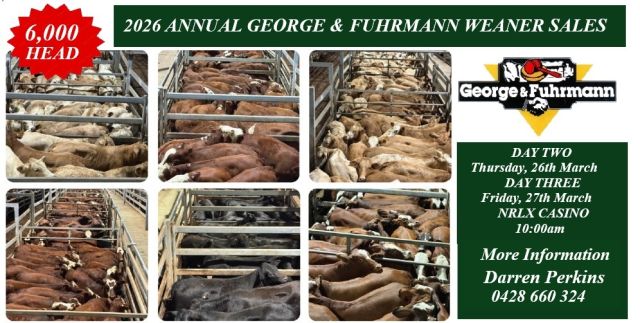 ANNUAL GEORGE & FUHRMANN WEANER SALES (2026)