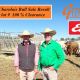 Go to Glenlea Beef  Charolais Bull Sale Winton