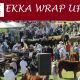 Go to M.D.M.  EKKA WRAP UP